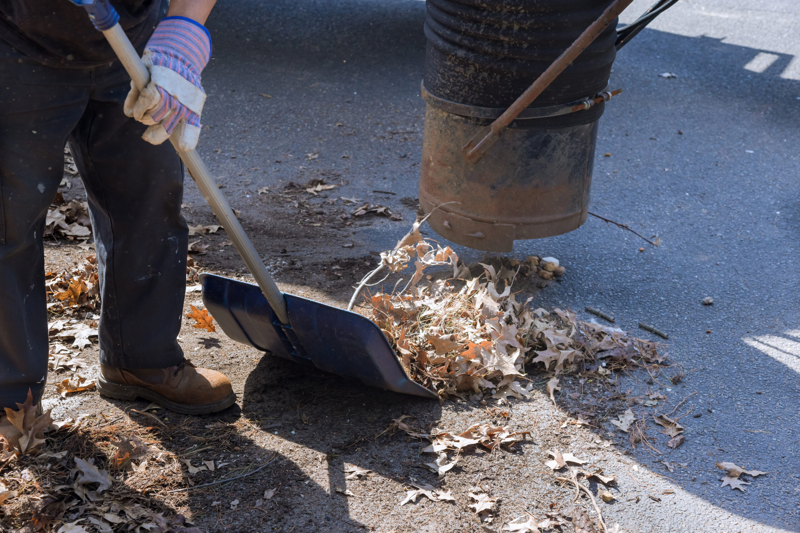 Outdoor manual worker clean the fallen leaves on vacuum up in the road